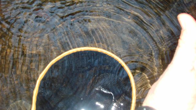 Well, there was a fish there.JPG